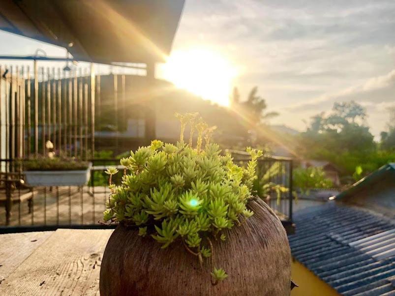 Savana Moc Chau Bed & Breakfast Exterior photo